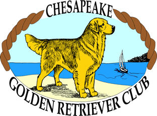 Chesapeake Golden Retriever Club